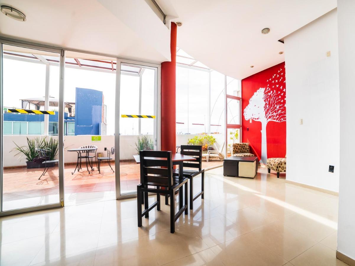 Hotel Hc Celaya  Extérieur photo